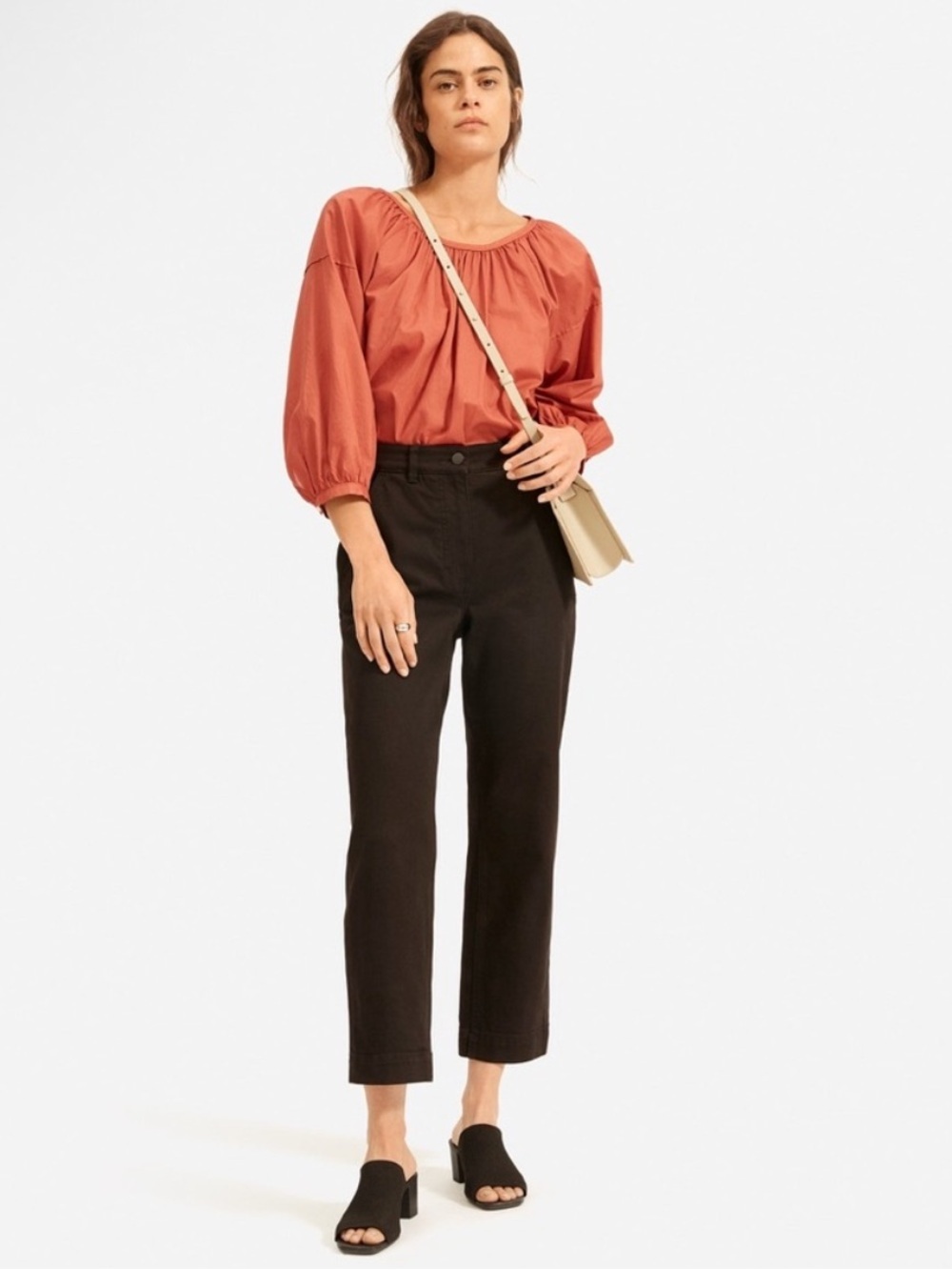 Everlane The Straight Leg Crop Pants 2 Short